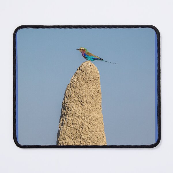Item preview, Namibia. Etosha National Park. Lilac-Breasted Roller on the Top of Termite Mound.  designed and sold by vadim19.