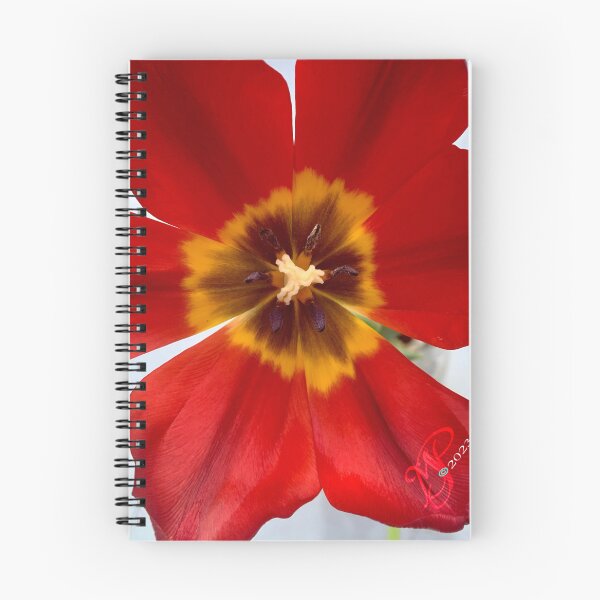 Artikelvorschau, Mein roter Blumenfreund entworfen und verkauft von HapMapCreations.