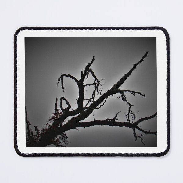 Item preview, Haunted Woods designed and sold by Simple Joys Photography.