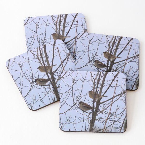 Item preview, Two Sparrows Perched In a Tree, Male and Female designed and sold by BackyardBirder.