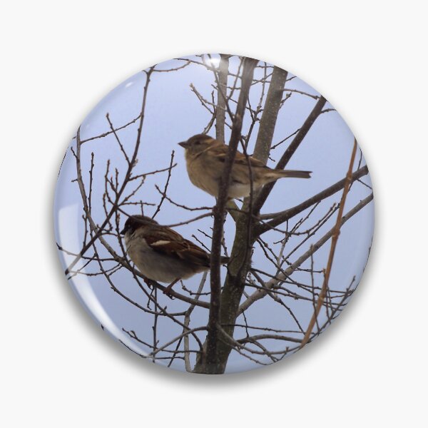 Item preview, Two Sparrows Perched In a Tree, Male and Female designed and sold by BackyardBirder.