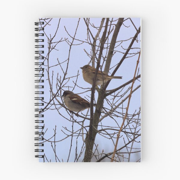 Item preview, Two Sparrows Perched In a Tree, Male and Female designed and sold by BackyardBirder.