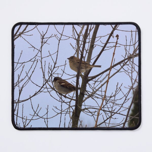 Item preview, Two Sparrows Perched In a Tree, Male and Female designed and sold by BackyardBirder.