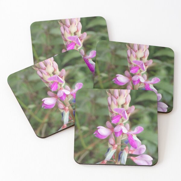 Item preview, Canada Trefoil (Desmodium canadense) Blooming in Baguio City, Philippines designed and sold by The Botanical Jason.