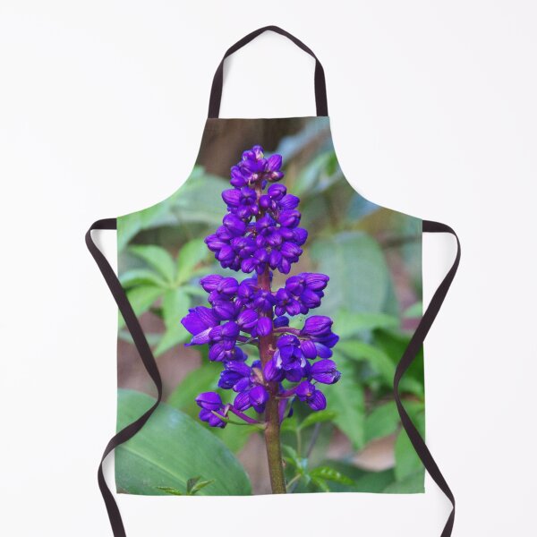 Item preview, Blue Ginger (Dichorisandra thyrsiflora) Blooming in Baguio Botanical Garden designed and sold by The Botanical Jason.