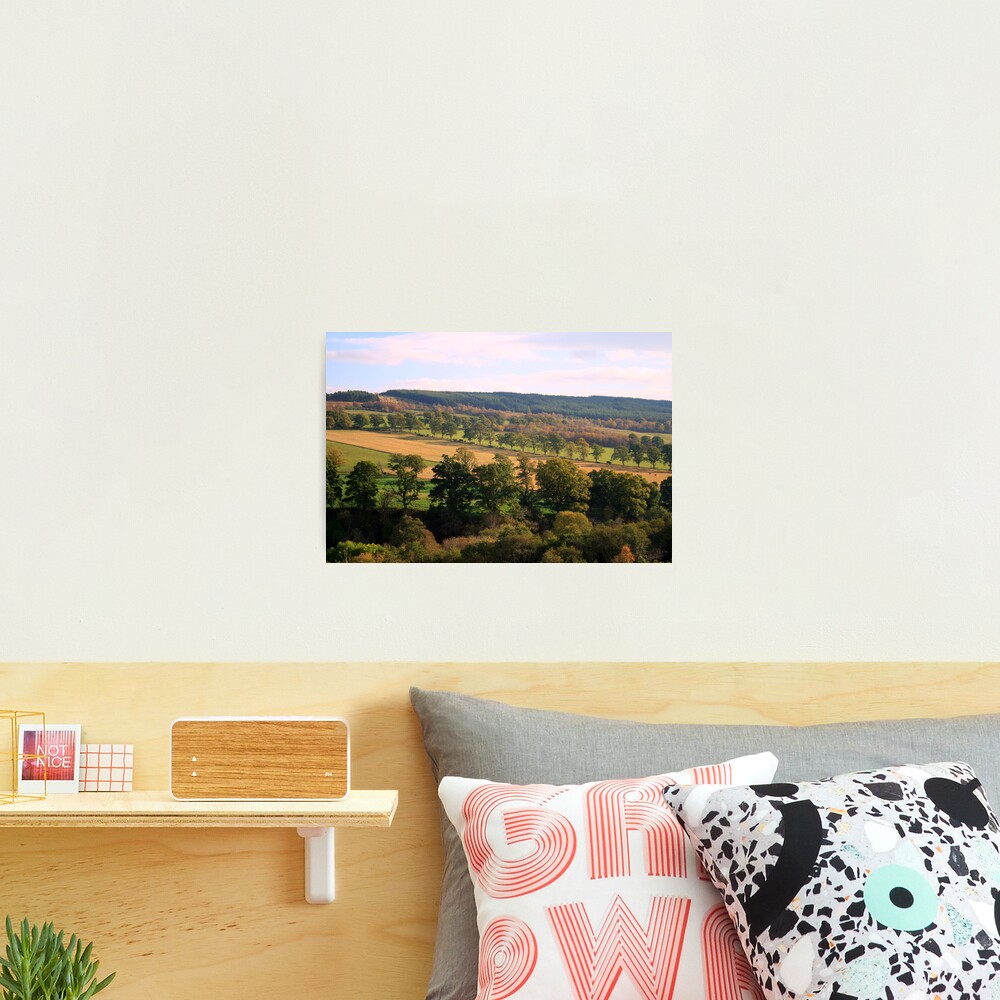 Foxhole Photographic Print