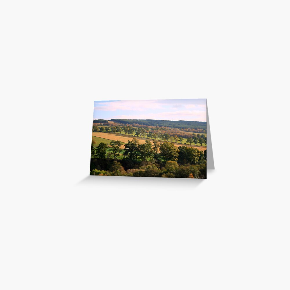 Foxhole Greeting Card