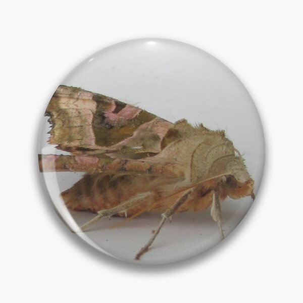 Item preview, A Brown Moth designed and sold by lezvee.