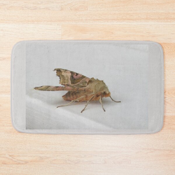 Item preview, A Brown Moth designed and sold by lezvee.