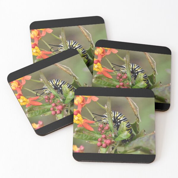Item preview, Monarch caterpillar on flowering milkweed designed and sold by Kate Farkas.
