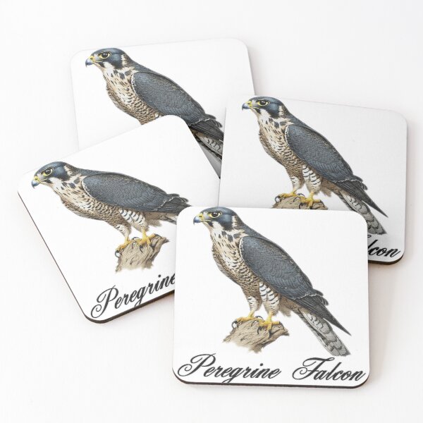 Item preview, Peregrine Falcon  sitting on a branch designed and sold by jnsmerchstore.