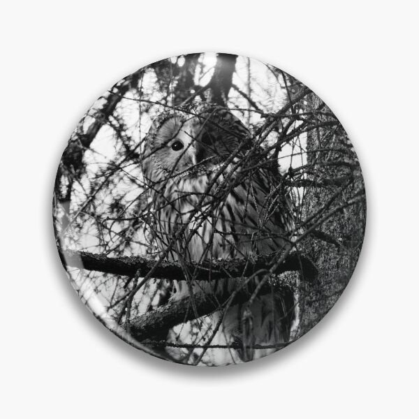 Item preview, Hiding in the spruce. Ural owl bw designed and sold by Jouko Lehto Photography.