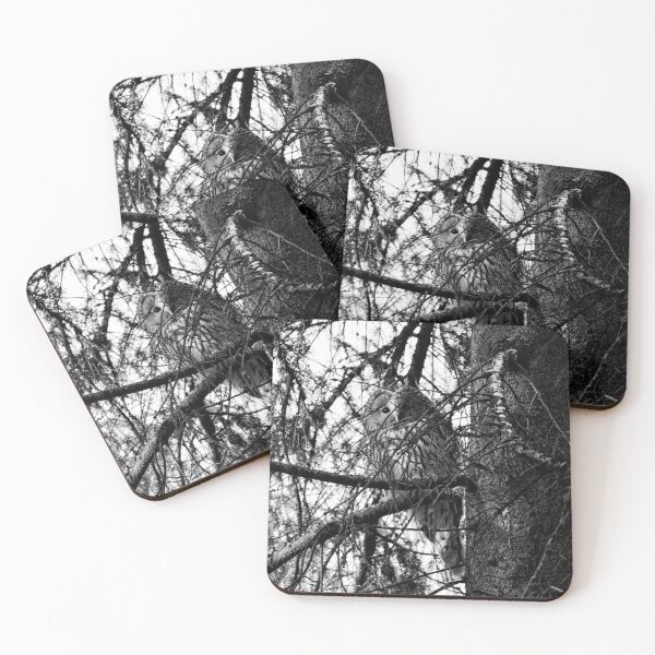 Item preview, Hiding in the spruce. Ural owl bw designed and sold by Jouko Lehto Photography.