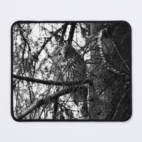 Item preview, Hiding in the spruce. Ural owl bw designed and sold by Jouko Lehto Photography.