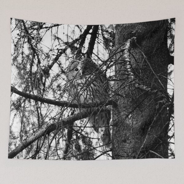 Item preview, Hiding in the spruce. Ural owl bw designed and sold by Jouko Lehto Photography.