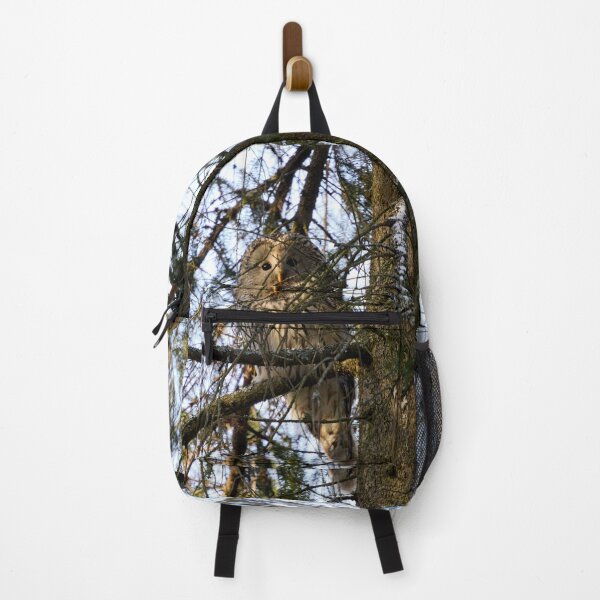 Item preview, Hiding in the spruce. Ural owl designed and sold by Jouko Lehto Photography.