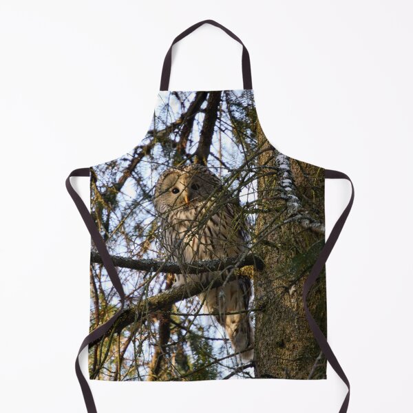 Item preview, Hiding in the spruce. Ural owl designed and sold by Jouko Lehto Photography.
