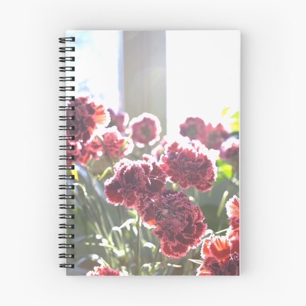 Item preview, Red Pink Cloves Flowers In A Sunny Window designed and sold by pyzap.