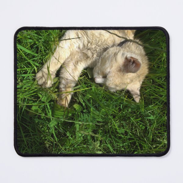Item preview, Cute Little Cat Laying On Green Grass designed and sold by pyzap.
