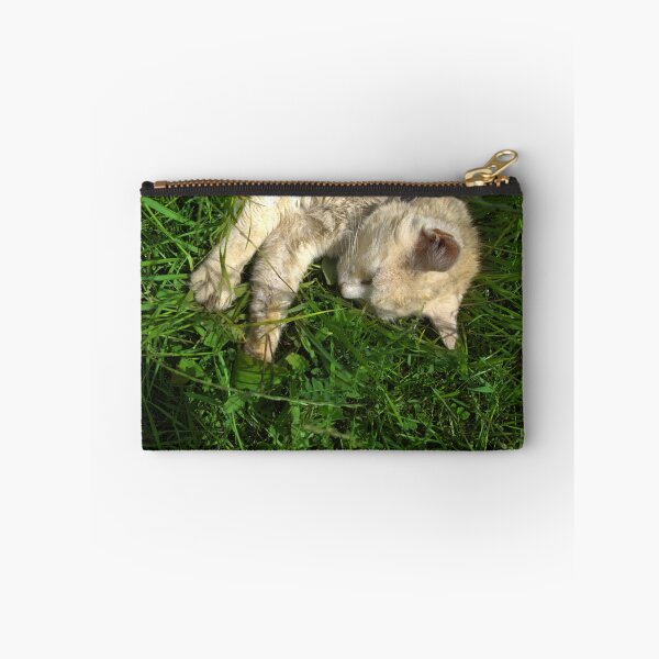 Item preview, Cute Little Cat Laying On Green Grass designed and sold by pyzap.