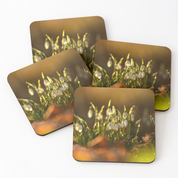 Item preview, Spring flowers, snowdrops in the park. Sunrise designed and sold by Catrinann.