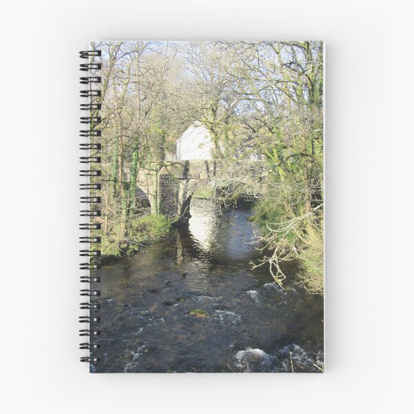 Item preview, River Avon Under Brent Mill Bridge - South Brent Devon UK designed and sold by lezvee.