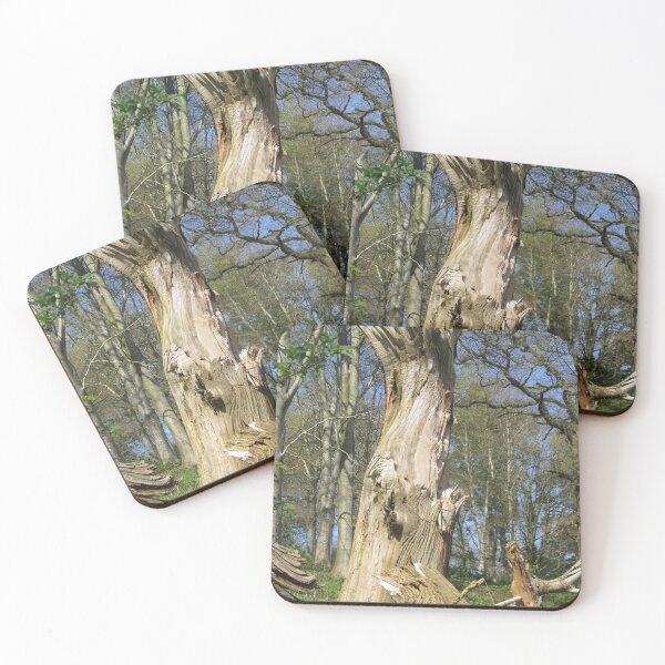 Item preview, Dead Tree Still Standing designed and sold by lezvee.