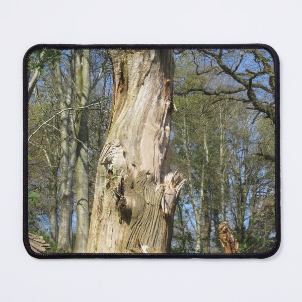 Item preview, Dead Tree Still Standing designed and sold by lezvee.