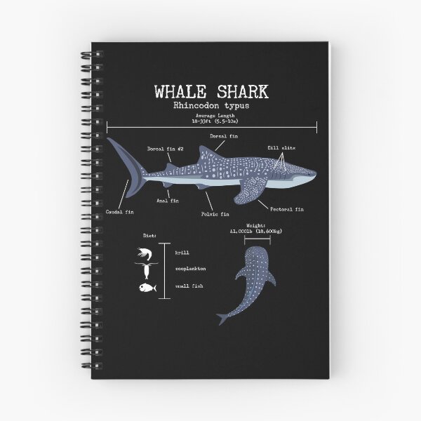 Item preview, Whale Shark Anatomy Men's Women's Kids Whale Shark Gear designed and sold by DynamicDesign.