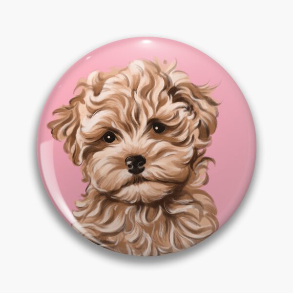 Item preview, My little maltipoo designed and sold by Yaninaa26.