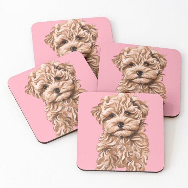 Item preview, My little maltipoo designed and sold by Yaninaa26.