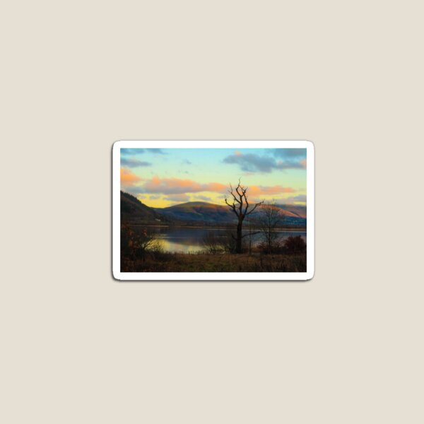 Item preview, the almighty tree.  designed and sold by timelapsedphoto.