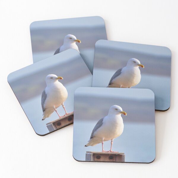 Item preview, Herring Gull - Larus argentatus designed and sold by Dorset Girl.