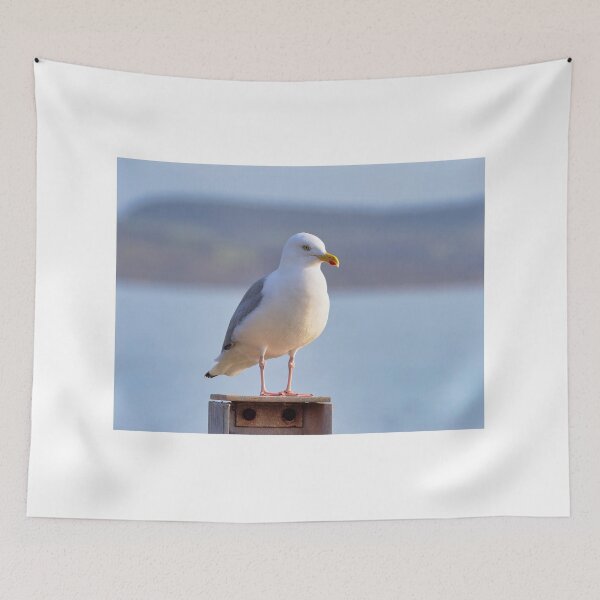 Item preview, Herring Gull - Larus argentatus designed and sold by Dorset Girl.