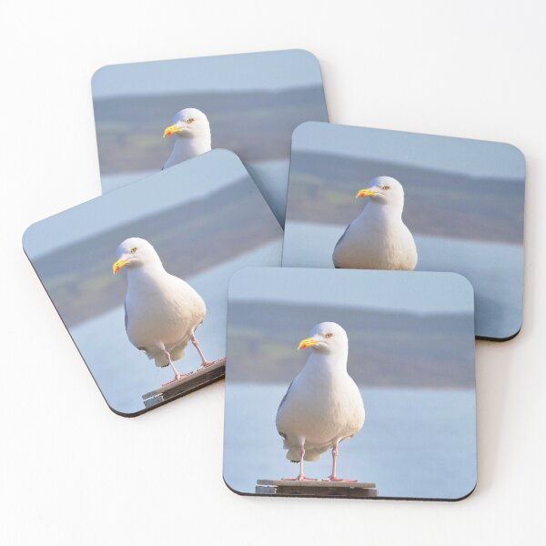Item preview, Herring gull - Larus argentatus designed and sold by Dorset Girl.