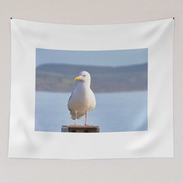 Item preview, Herring gull - Larus argentatus designed and sold by Dorset Girl.