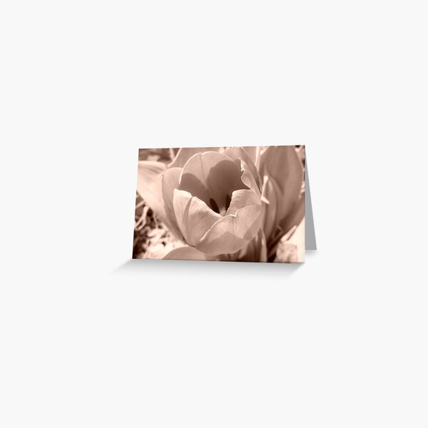 Tulip Greeting Card