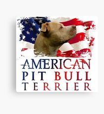 American Pit Bull Terrier Canvas Print