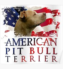 American Pit Bull Terrier Poster