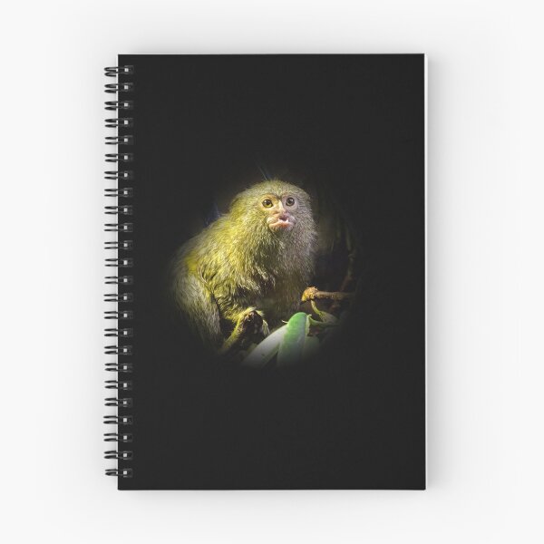 Item preview, Marmoset designed and sold by Guardi71.