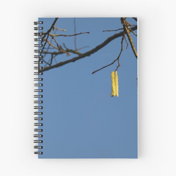 Item preview, Catkins designed and sold by C Rose.