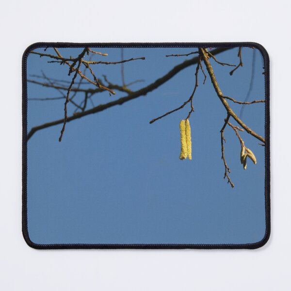 Item preview, Catkins designed and sold by C Rose.