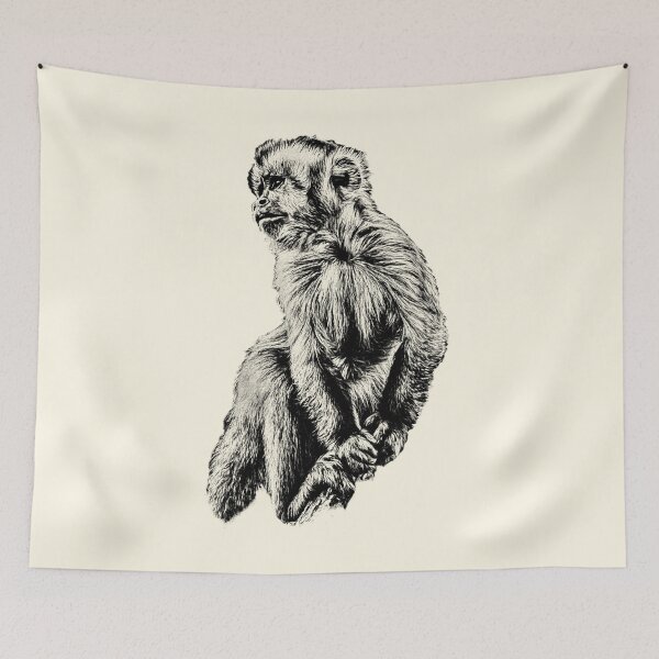 Item preview, Tufted capuchin designed and sold by Guardi71.