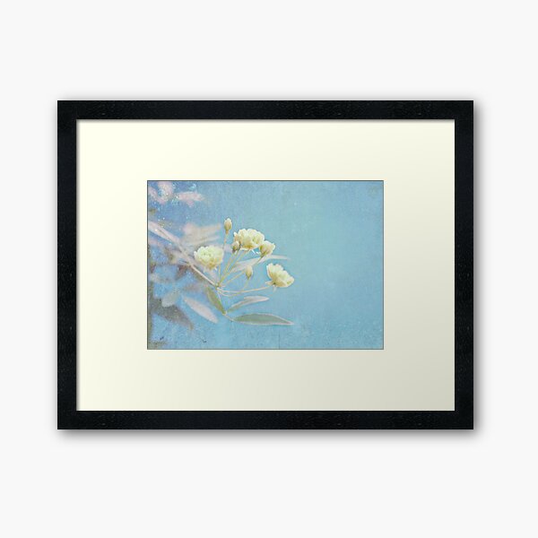 Popcorn Roses I Framed Art Print