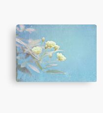 Popcorn Roses I Canvas Print