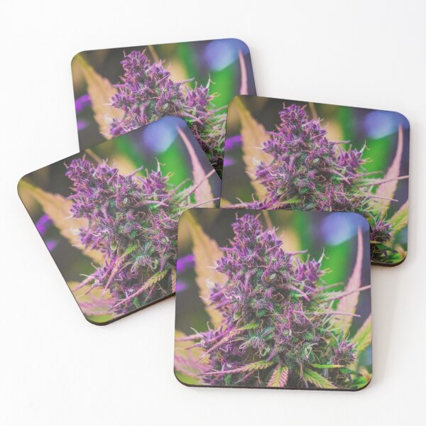 Item preview, Cannabis in Full Bloom: A Close-Up Exploration of Purple Flowers and Green Leaves?? designed and sold by TroviTutto.