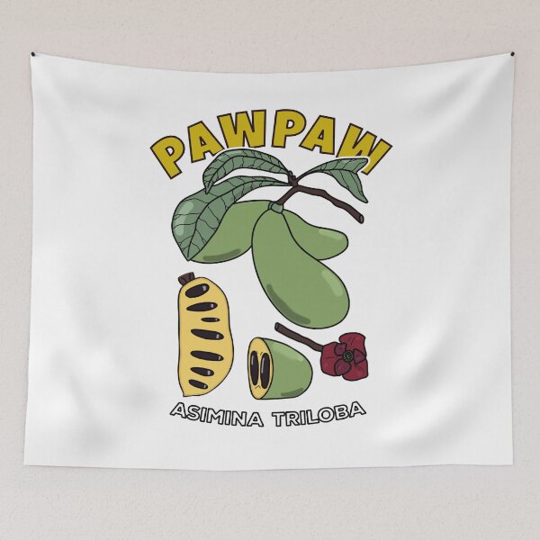 Item preview, Pawpaw Fruit Tree Asimina Triloba designed and sold by honesttiger.