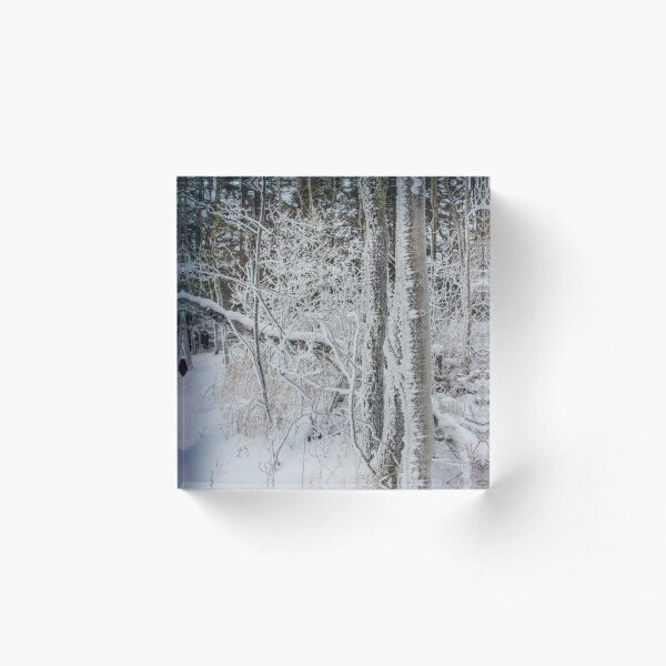 Item preview, Winter Woods, Lake Superior, MN 2 designed and sold by Arielle S.
