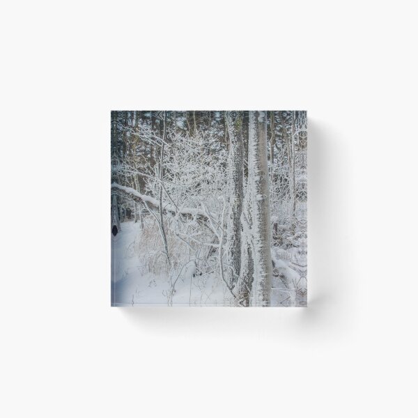 Item preview, Winter Woods, Lake Superior, MN 2 designed and sold by Arielle S.