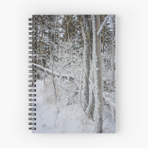 Artikelvorschau, Winter Woods, Lake Superior, MN 2 entworfen und verkauft von Arielle S.